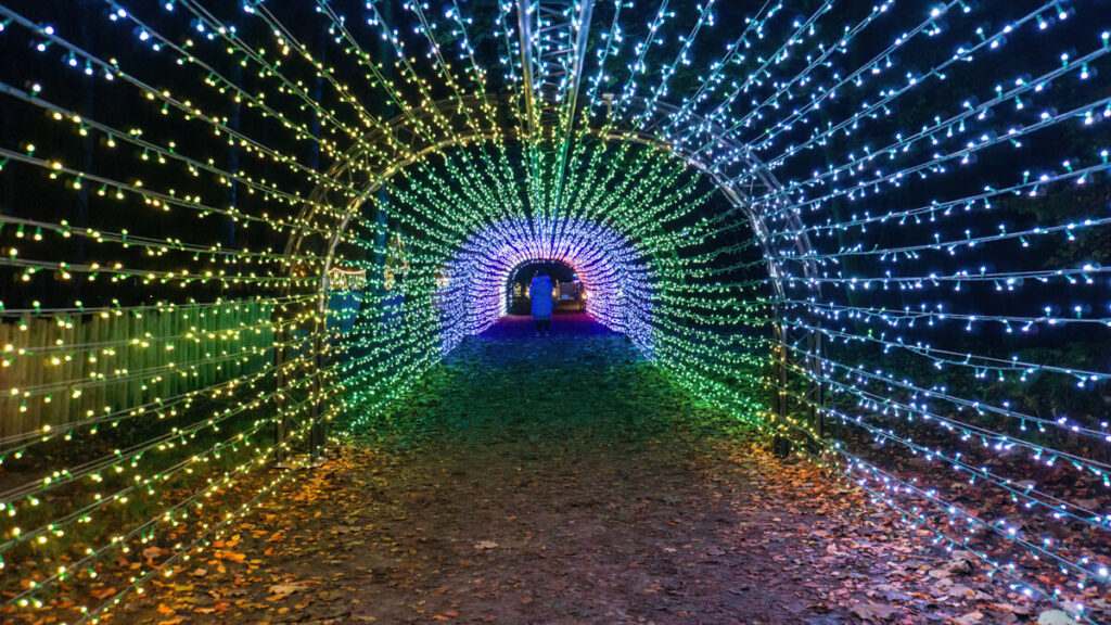 Tunnel of Light at Luminate