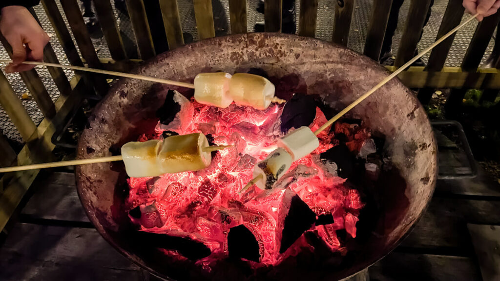 roasting marshmallows at Luminate Sandringham