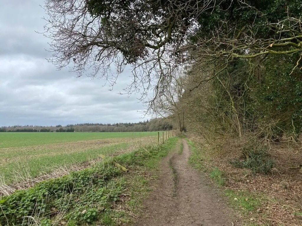 path along the edge of broadland country park 