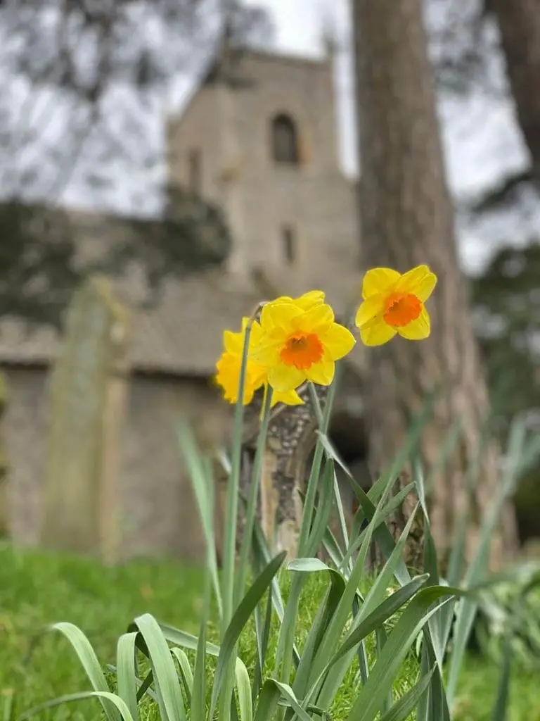 st margaret's church near broadland country park