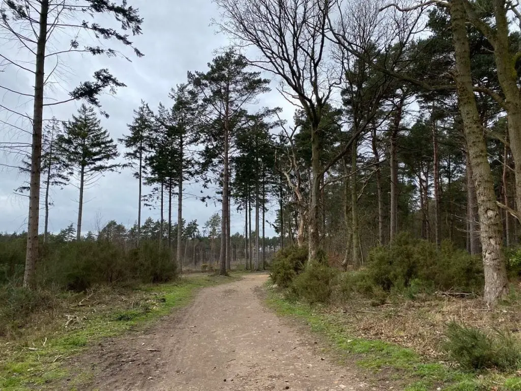 path at broadland country park