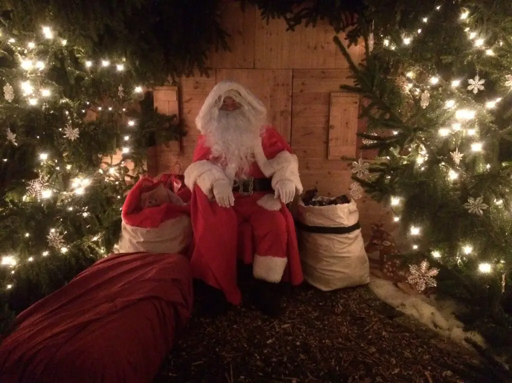 father christmas with christmas trees on either side