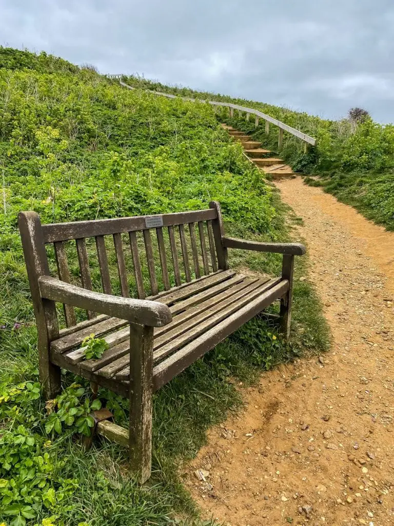 bench along the Beeston bump walk path