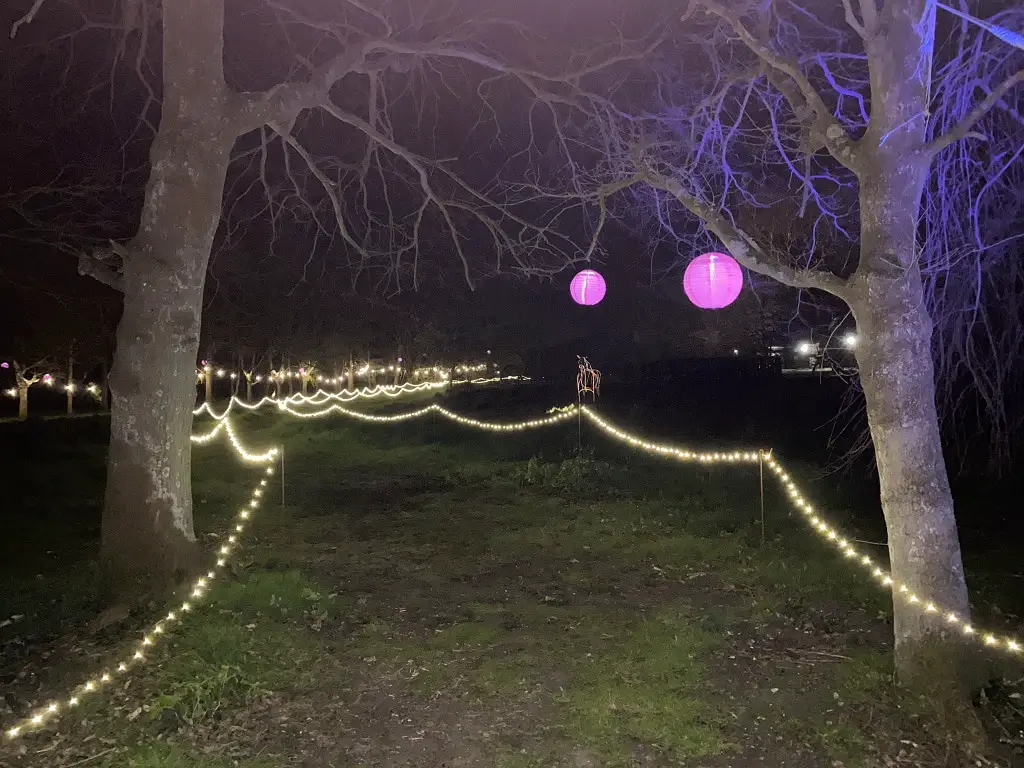 the start of the woodland lumiere trail