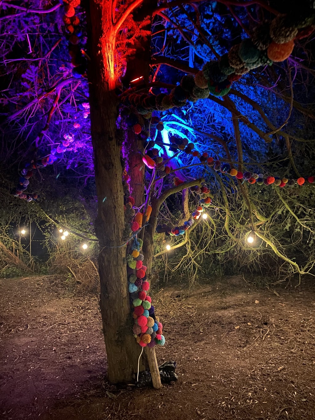 colourful tree at woodland lumiere