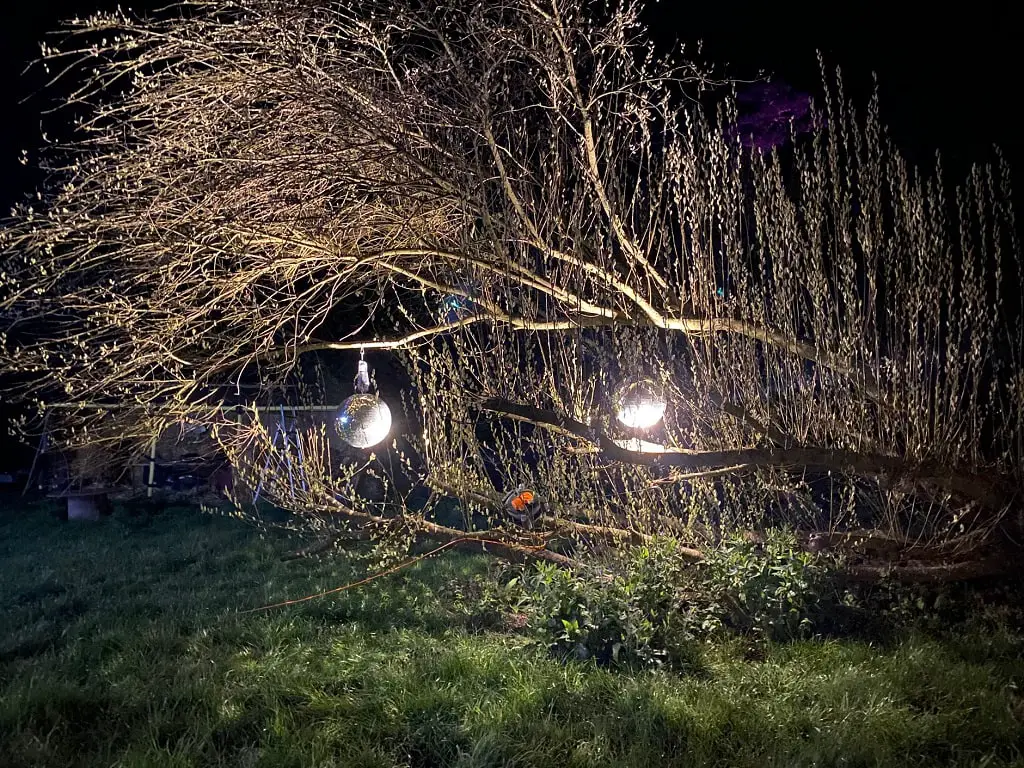 disco lights at woodland lumiere