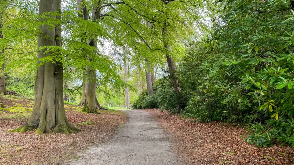 path through the woodland at fairhaven water garden