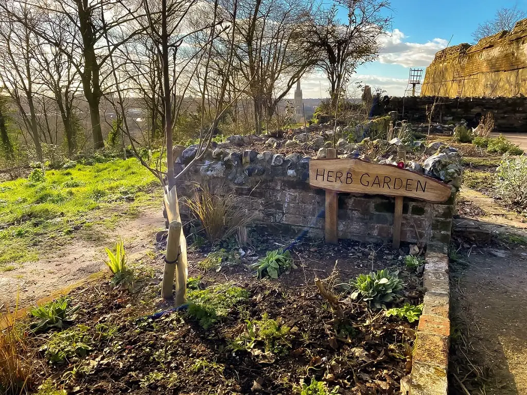 herb garden in kett's heights in norwich