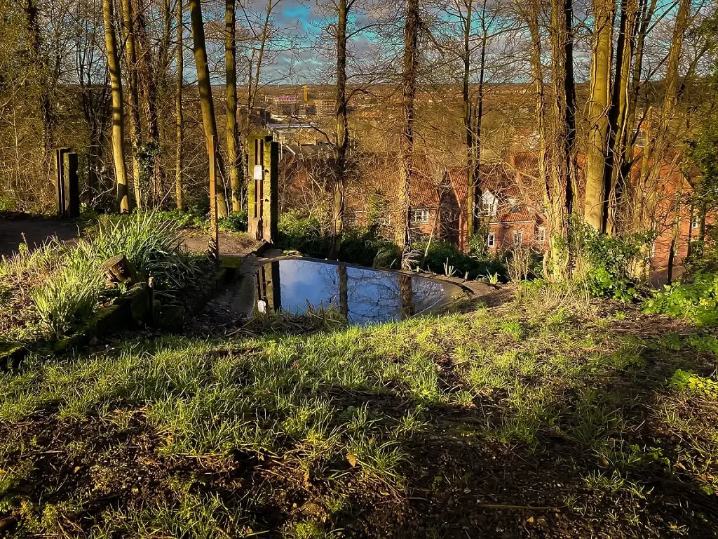 the pond at kett's heights in norwich
