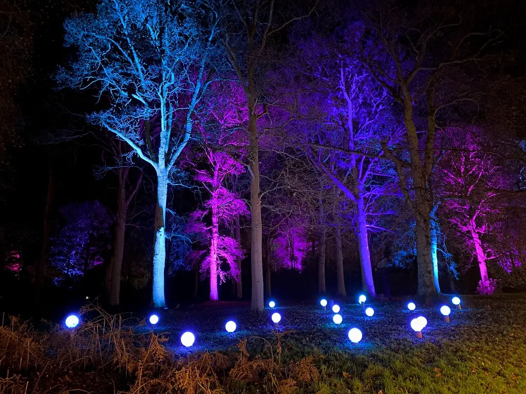 trees lit up in different colours at Sandringham luminate