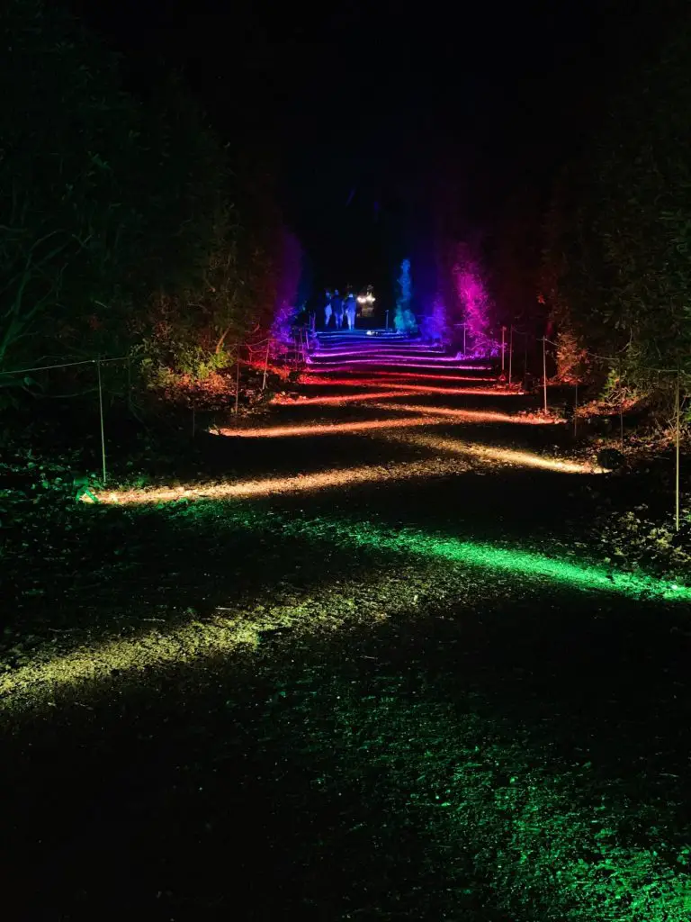 rainbow path at Luminate Sandringham