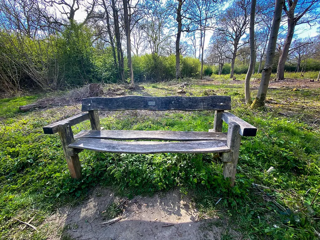 bench in wayland wood in norfolk