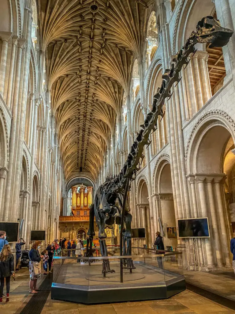 dippy on tour at norwich cathedral