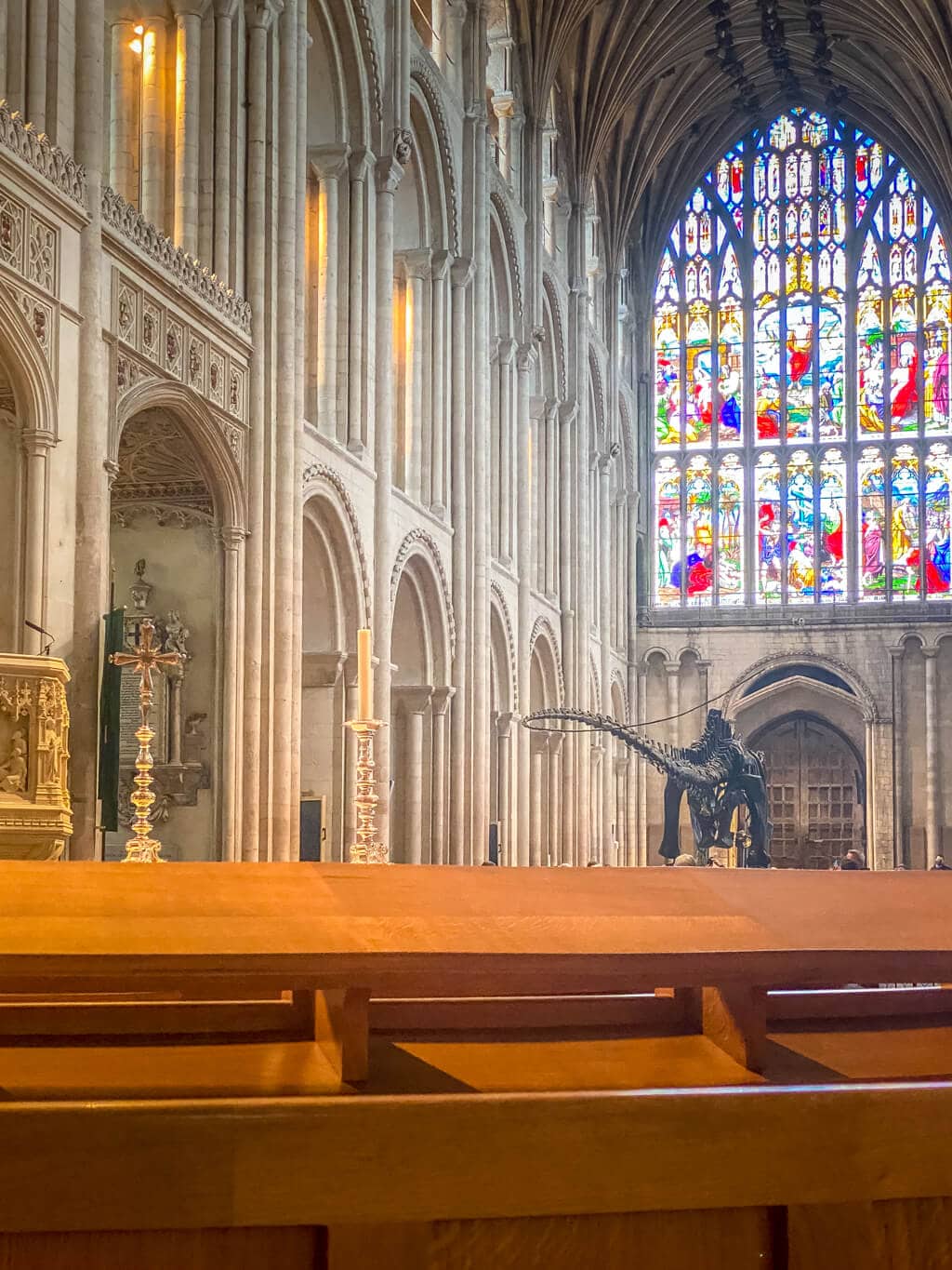 view of dippy in norwich cathedral from the back