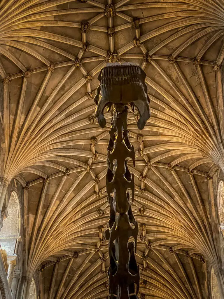 looking up at Dippy's head and neck with Norwich Cathedral roof in the background