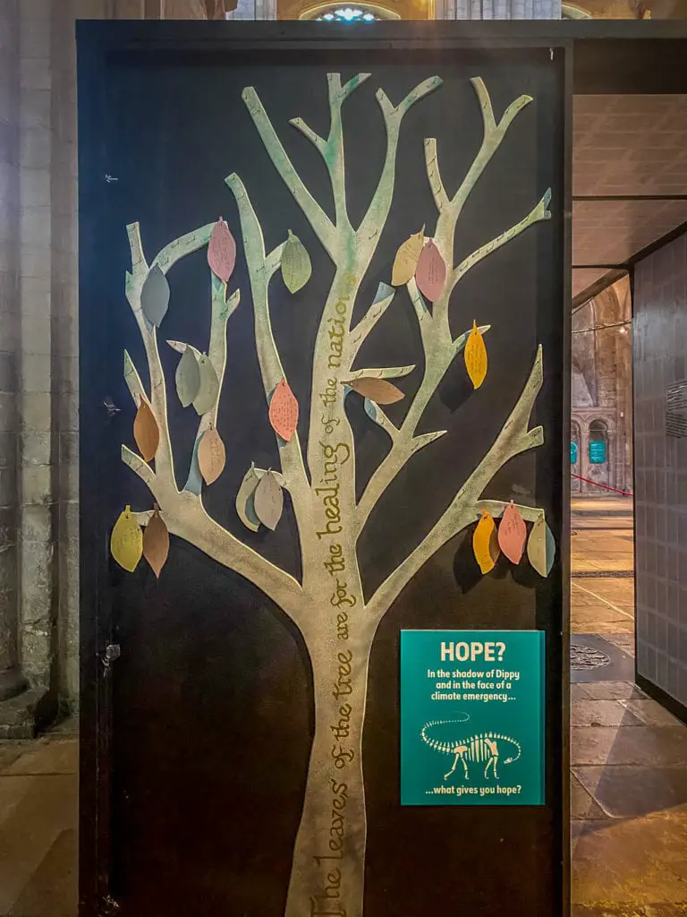 tree of hope at norwich cathedral