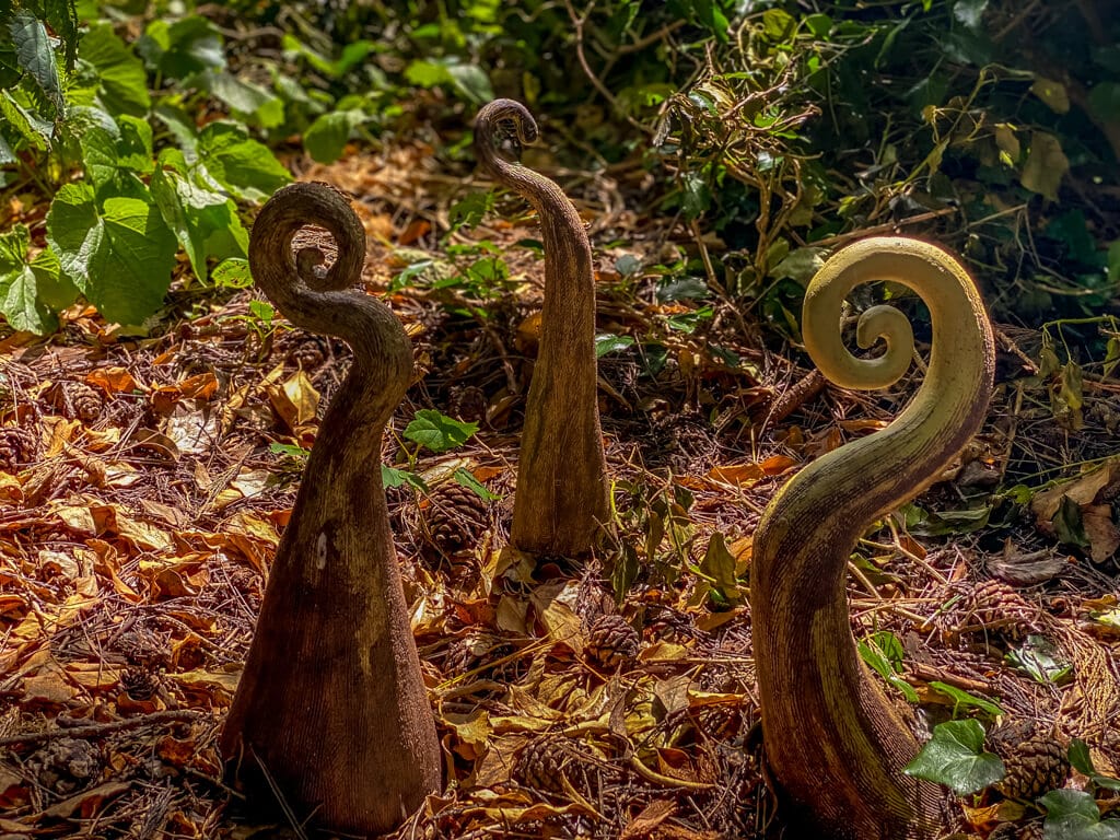 ceramic ferns by heather griffiths