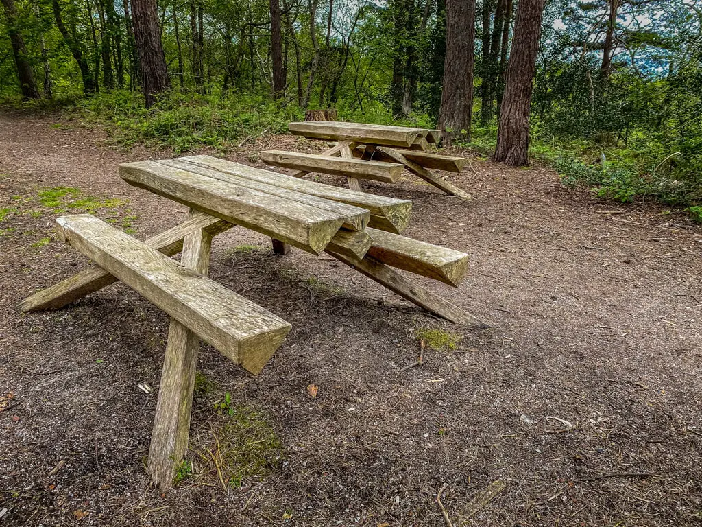 picnic tables at pretty corner woods