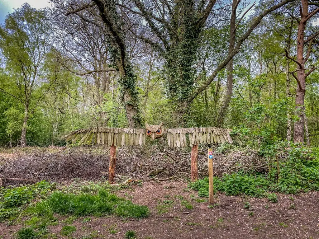 owl sculpture at pretty corner woods