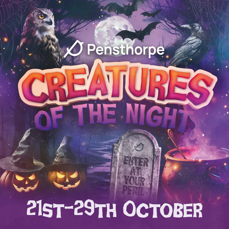 promo graphic for creatures of the night at pensthorpe