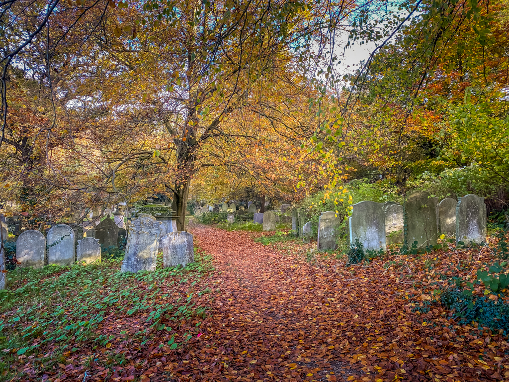 autumn colours are vibrant at rosary cemetery in Norwich