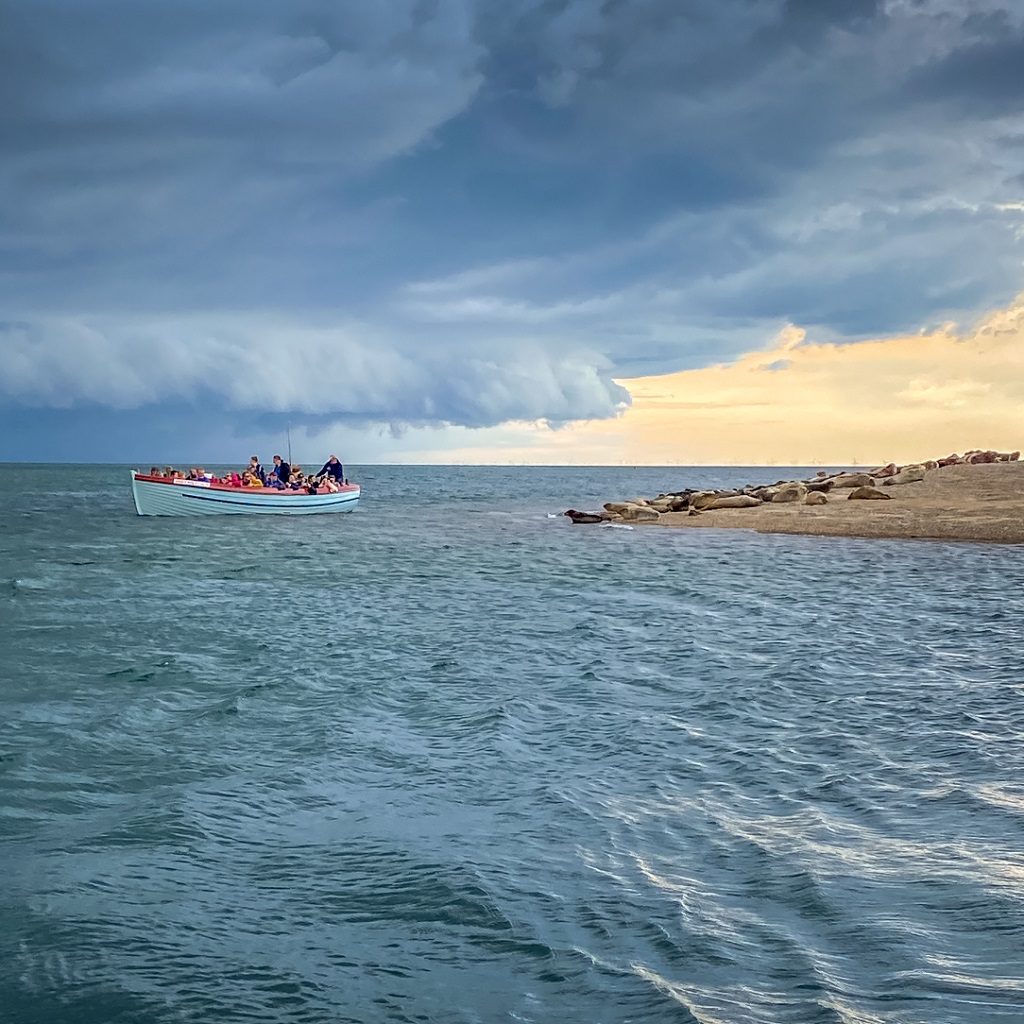 boat with people looking at the seals on blakeney point in norfolk