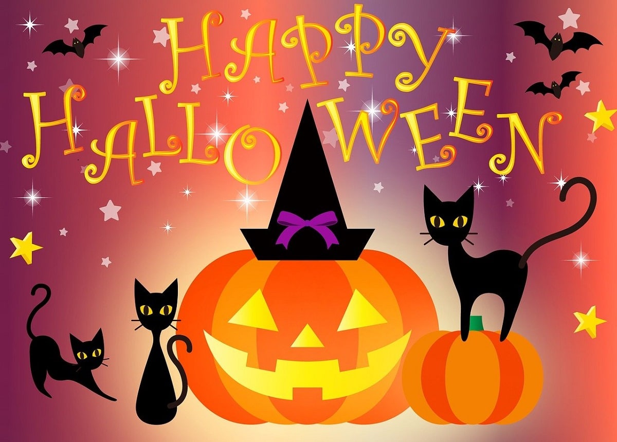 halloween themed illustration with jack o lantern, black cats, witches hat and text "Happy Halloween"