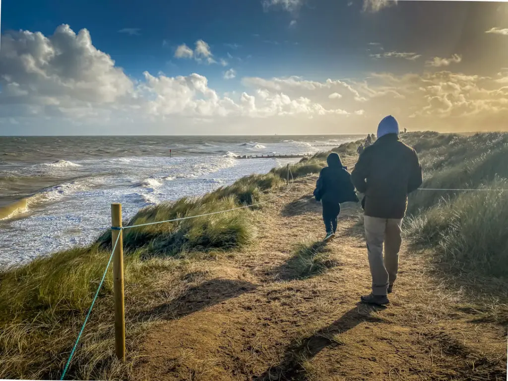 people walking on a marked path through the dunes at Horsey Beach to see the seals