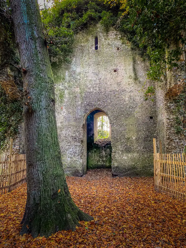 The Witch's Leg (a St Marys East Sommerton Church