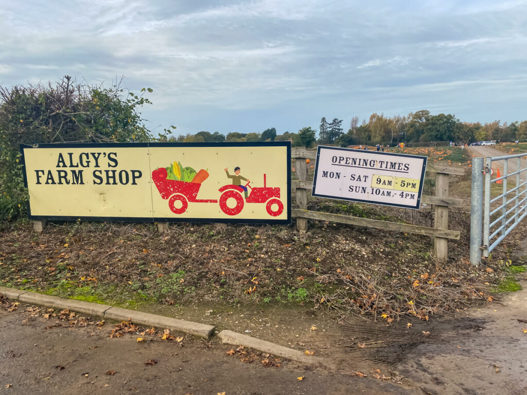 algy farm shop sign with pumpkin patch behind it