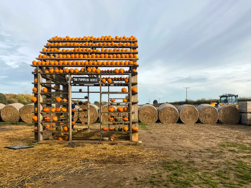 the pumpkin house structure with hay behind it