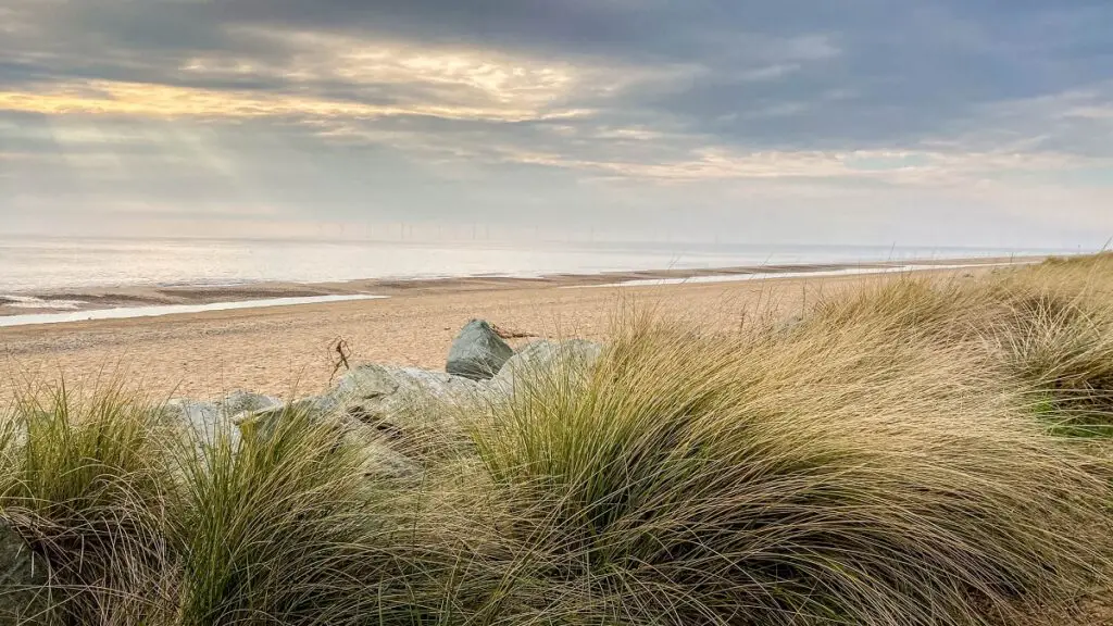 the dunes on California beach near Great Yarmouth