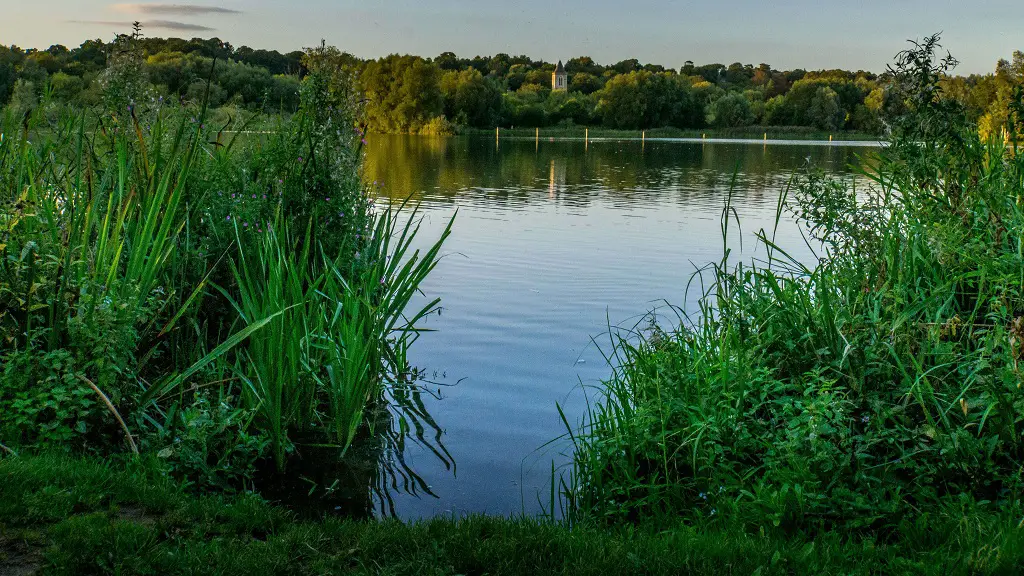 looking out over Great Whitlingham Broad