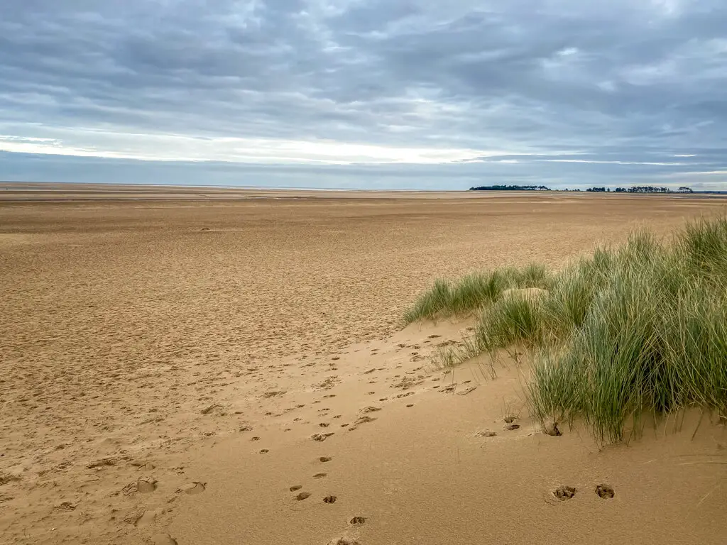 some of the dunes on wells next the sea beach