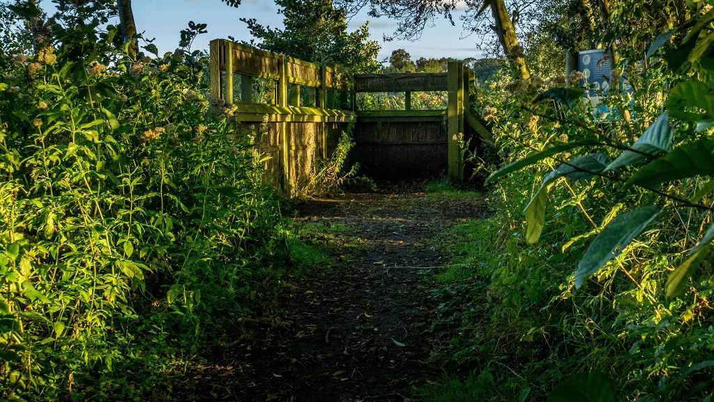 whitlingham bird hide