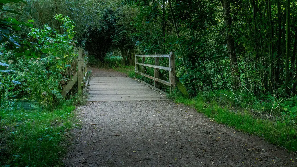 the path around whitlingham which is mostly flat is suitable for all levels