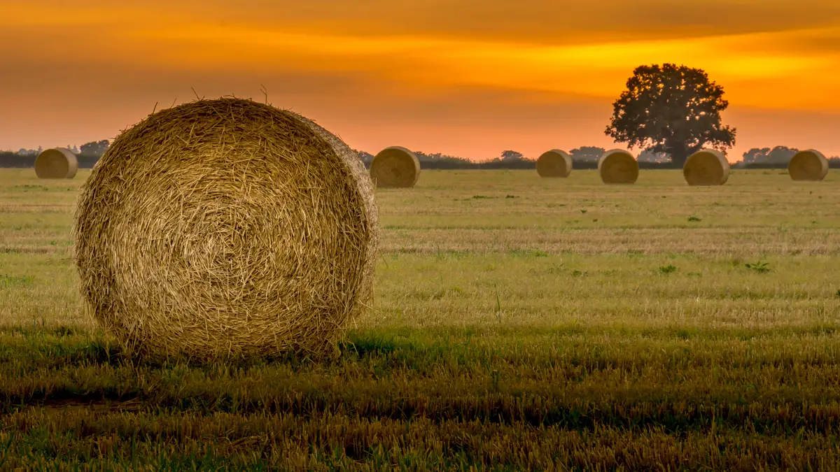sunset over a field with bales of hay in Norfolk in September
