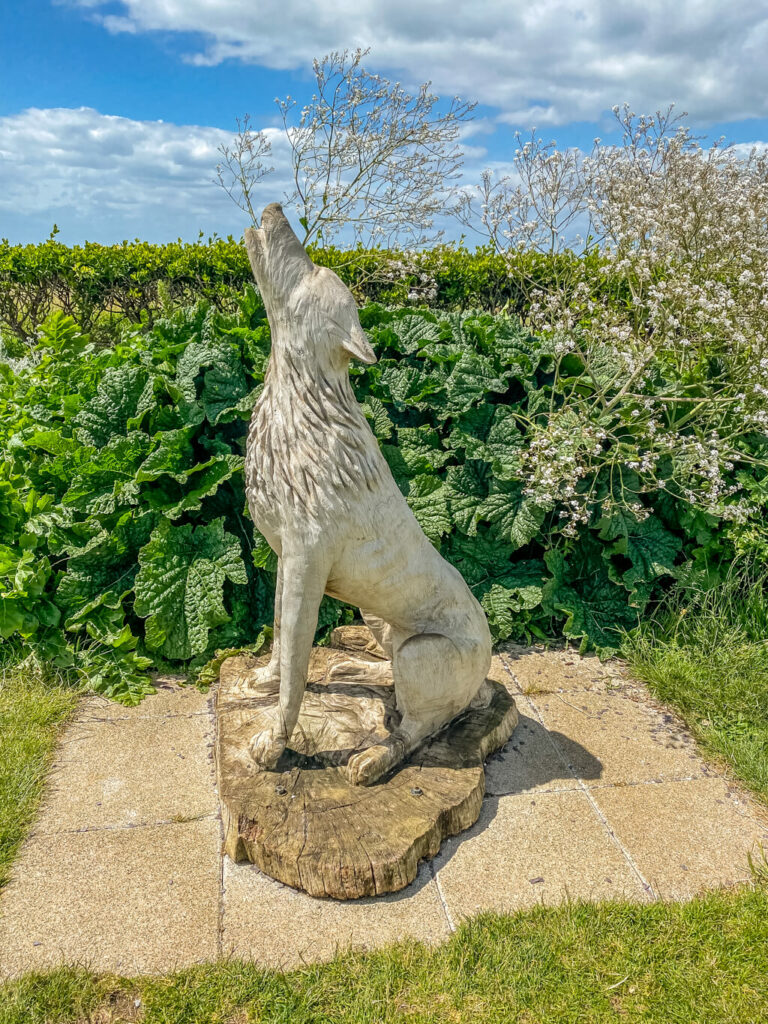 wolf sculpture (wolf howling) with bushes behind it in Hunstanton
