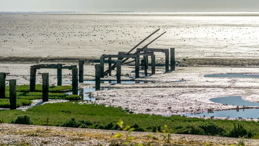 the wooden remains of an old jetty