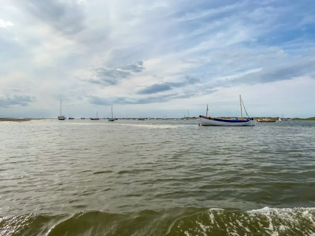 calm water with a few boats in the background