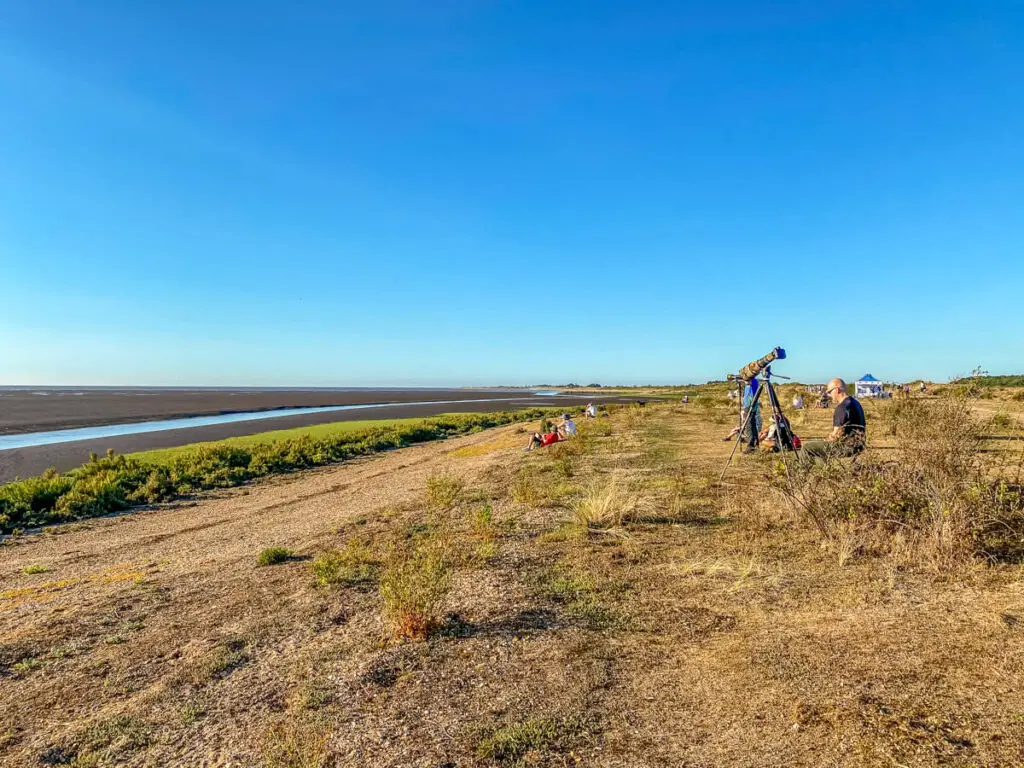 a few people scattered around the wader watching spot