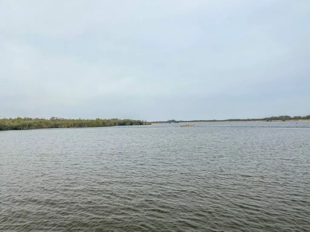 view of barton broad