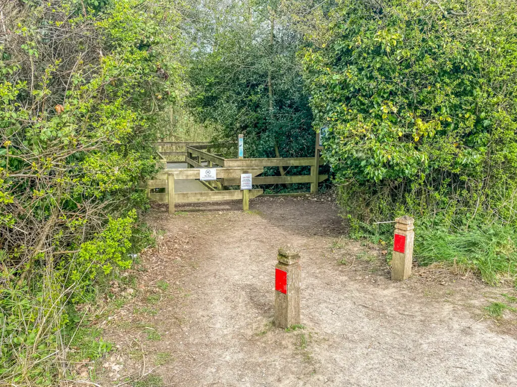 entrance to barton broad boardwalk with trees around it