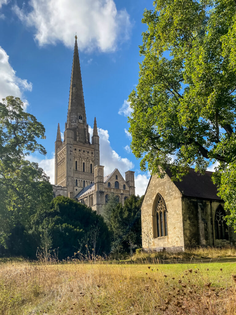 view of bishop reynolds chapel and norwich cathedral