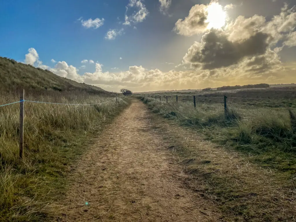 dirt walking path with ropes on either side