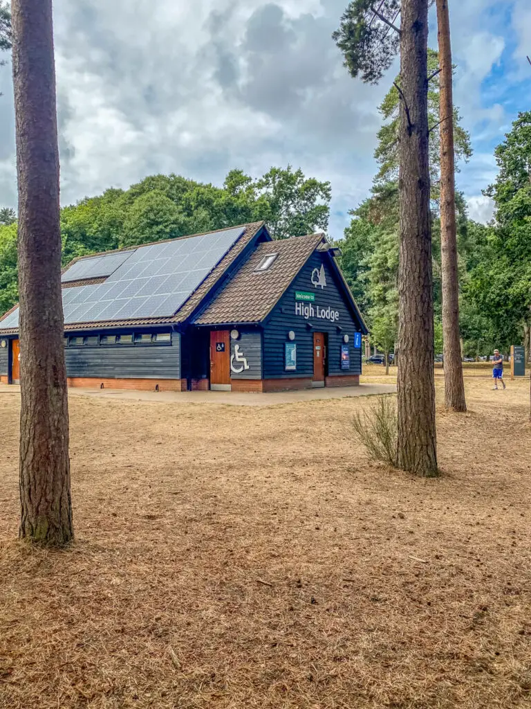 trees with view of thetford high lodge building