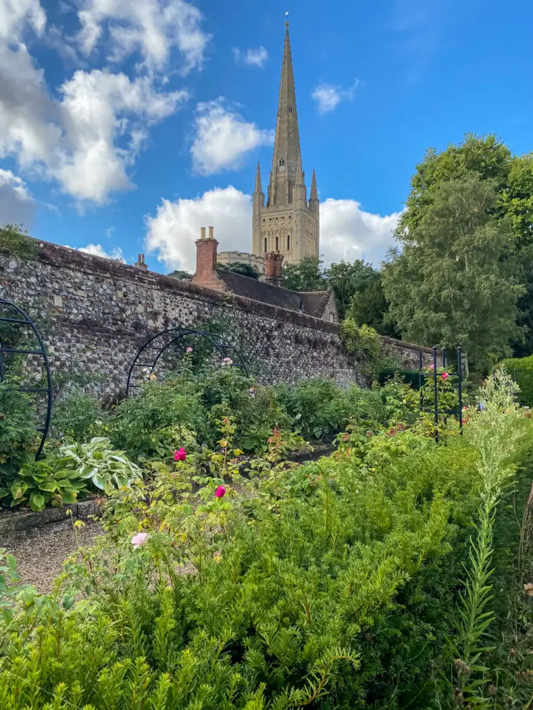 bishop garden wall with view of Norwich cathedral behind it