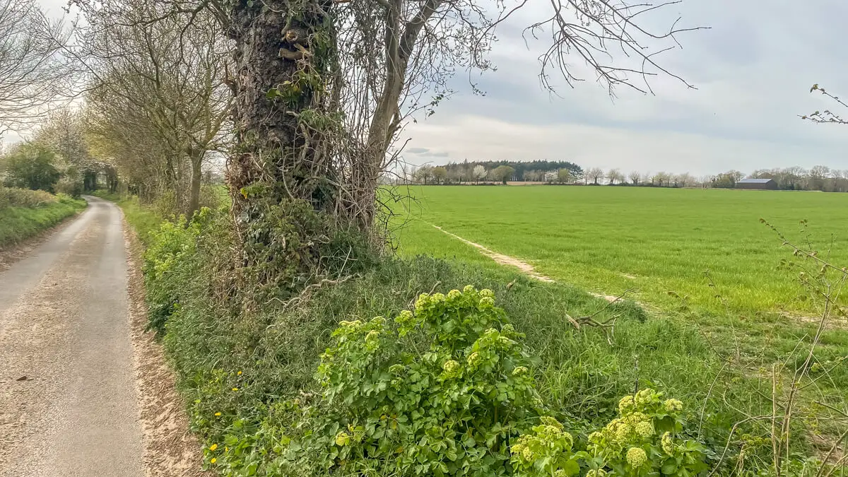 road we walked on with view of field