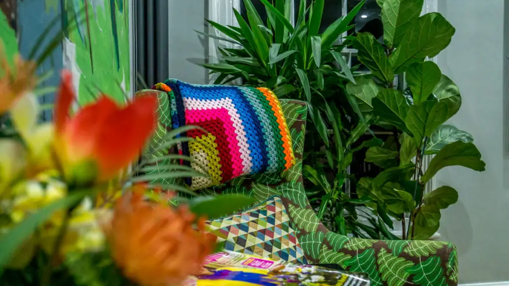 manicure chair with plants around it