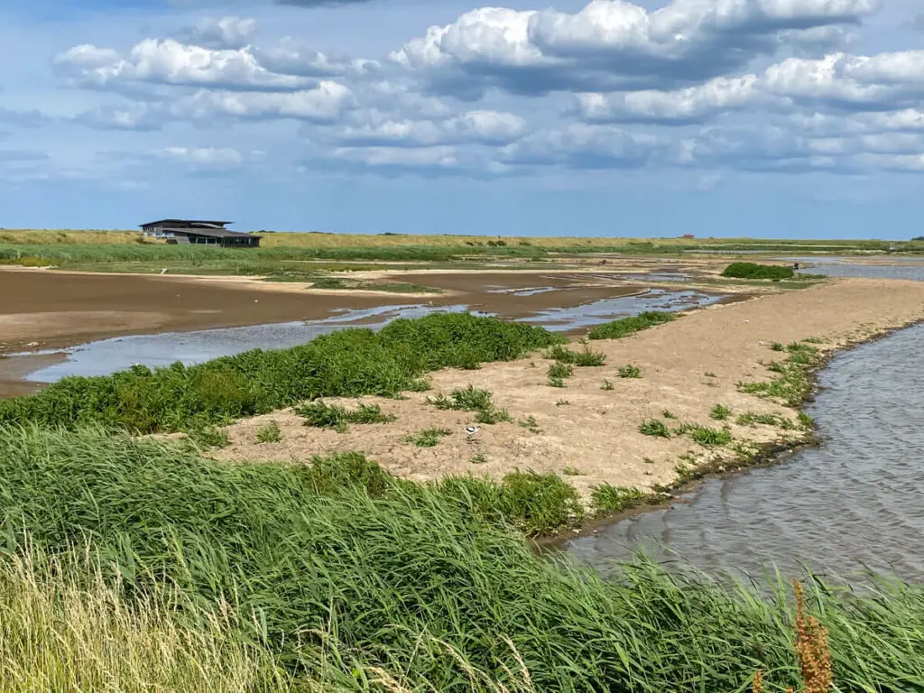 view of one of the bird hides across the marsh at Titchwell RSPB